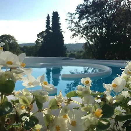 Thermae 2000 Hotel 4*
